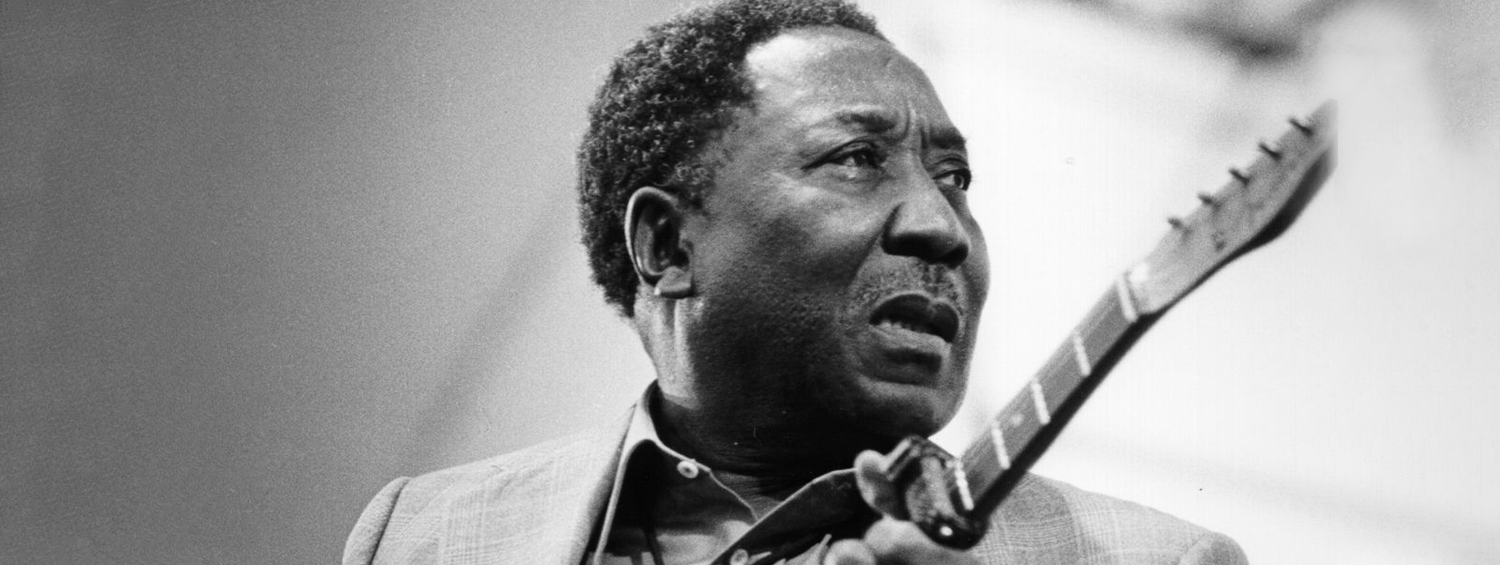 The Vinyl Brew: Muddy Waters - Folk Singer