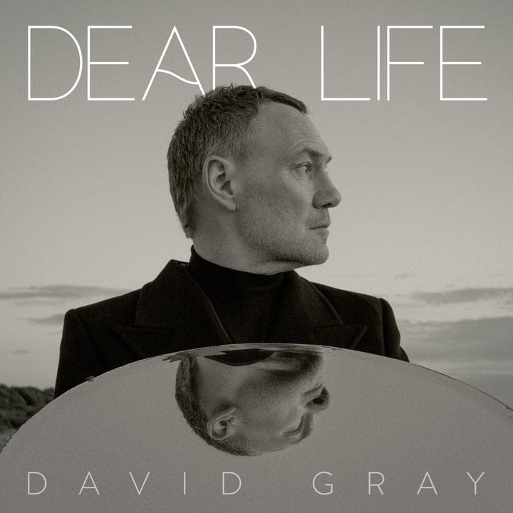 Dear Life (Exclusive Seaweed Green Edition) - David Gray [Colour Vinyl]