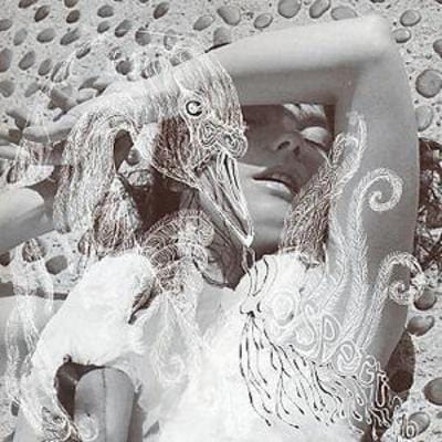 Vespertine - Björk [CD]