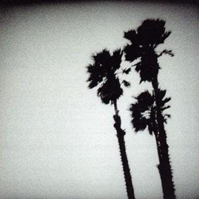 Blackberry Belle - The Twilight Singers [CD]