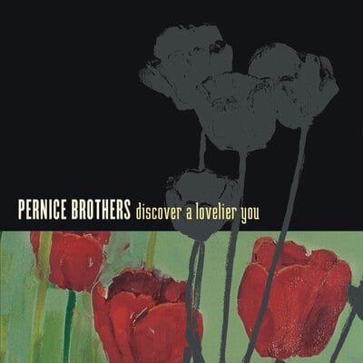 Discover a Lovelier You - Pernice Brothers [CD]