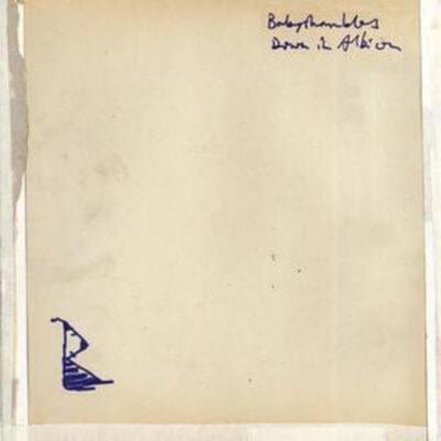 Down in Albion - Babyshambles [CD]