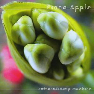 Extraordinary Machine - Fiona Apple [CD]