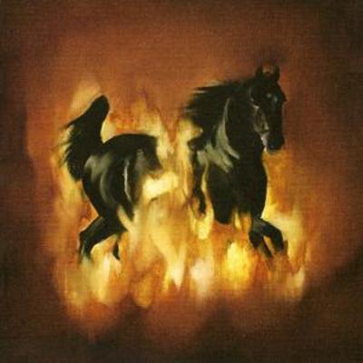 The Besnard Lakes Are the Dark Horse - The Besnard Lakes [CD]