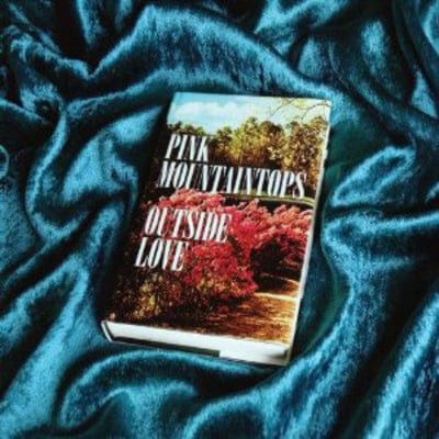 Outside Love - The Pink Mountaintops [CD]