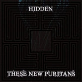 Hidden - These New Puritans [CD]