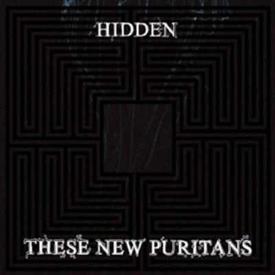 Hidden - These New Puritans [CD]