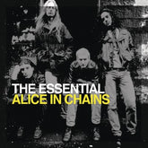 The Essential Alice in Chains - Alice in Chains [CD]