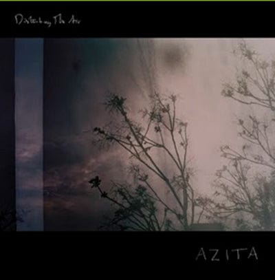 Disturbing the Air - Azita [VINYL]