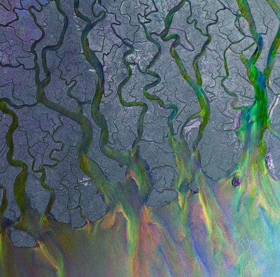 An Awesome Wave - alt-J [CD]