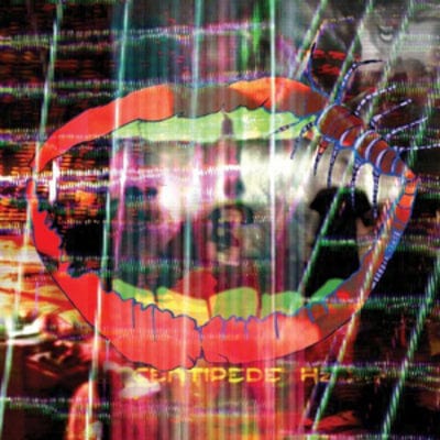 Centipede Hz - Animal Collective [CD]