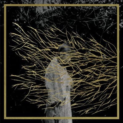 Engravings - Forest Swords [CD]