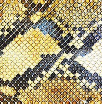 Amphetamine Ballads - The Amazing Snakeheads [CD]