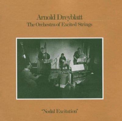 Nodal Excitation - Arnold Dreyblatt [VINYL]