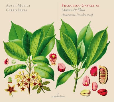 Francesco Gasparini: Mirena & Floro - Francesco Gasparini [CD]