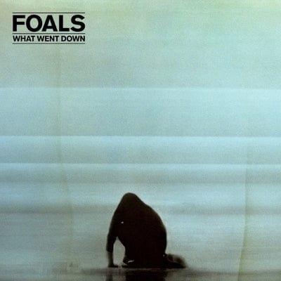 What Went Down - Foals [CD]