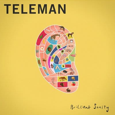 Brilliant Sanity - Teleman [CD]