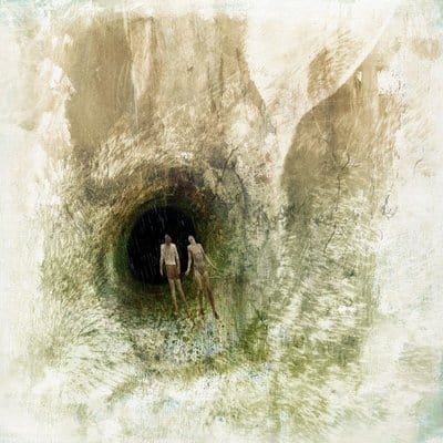 Couple in a Hole - Beak> [CD]