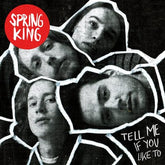 Tell Me If You Like To - Spring King [CD]