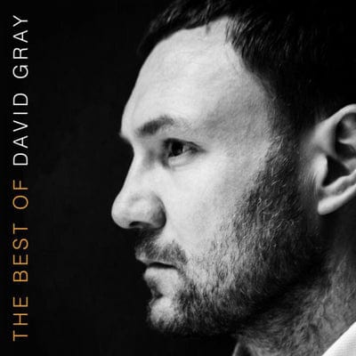 The Best of David Gray - David Gray [CD]