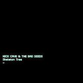 Skeleton Tree - Nick Cave and the Bad Seeds [CD]