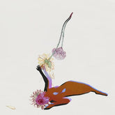 The Far Field - Future Islands [CD]