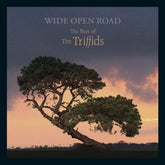 Wide Open Road: The Best of the Triffids - The Triffids [CD]