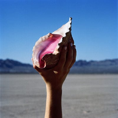 Wonderful Wonderful - The Killers [CD]