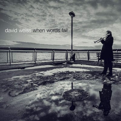 When Words Fail:   - David Weiss [CD]