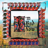 I'm Bad Now - Nap Eyes [CD]