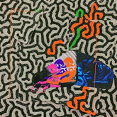 Tangerine Reef:   - Animal Collective [CD]