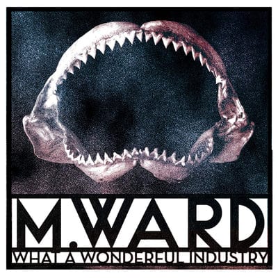 What a Wonderful Industry:   - M. Ward [CD]