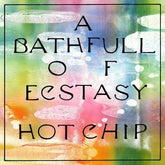 A Bath Full of Ecstasy - Hot Chip [CD]