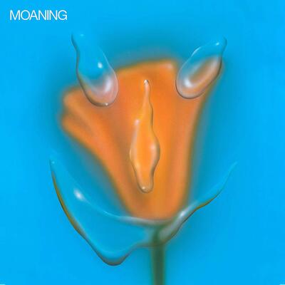 Uneasy Laughter:   - Moaning [CD]