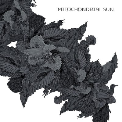 Mitochondrial Sun:   - Mitochondrial Sun [CD]