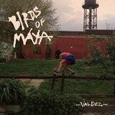 Valdez:   - Birds of Maya [VINYL]