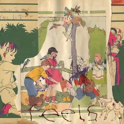 Feels - Animal Collective [VINYL]