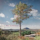 All Souls Hill - The Waterboys [CD]