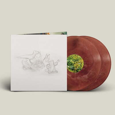 Dragon New Warm Mountain I Believe in You:   - Big Thief [VINYL Limited Edition]