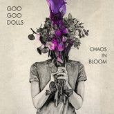 Chaos in Bloom - Goo Goo Dolls [CD]