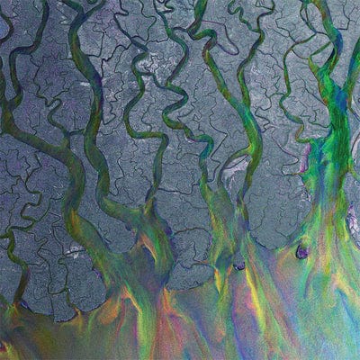 An Awesome Wave (National Album Day 2022) - alt-J [VINYL Limited Edition]