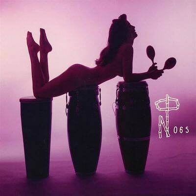 Technicolor paradise: Rhum rhapsodies & other exotic delights - Various Artists [VINYL]