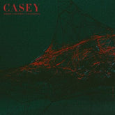 Where I Go When I Am Sleeping - Casey [VINYL Limited Edition]