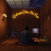 Sadness Sets Me Free - Gruff Rhys [CD]