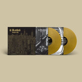 Double Cup - DJ Rashad [VINYL]