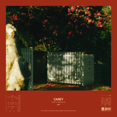 How to Disappear - Casey [CD]