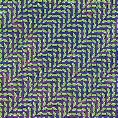 Merriweather Post Pavilion - Animal Collective [VINYL]