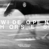 Wide Open, Horses - James Vincent McMorrow [CD]