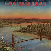 Dead Set - The Grateful Dead [VINYL]