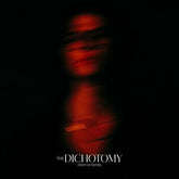 The Dichotomy - David Kushner [VINYL]